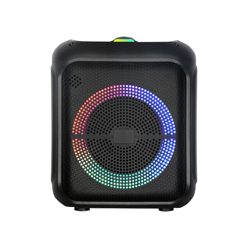 Zvucnik Bluetooth NDR-2210 20W 10 Inca sa Dva Mikrofona Crni
