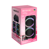 Zvucnik Bluetooth NDR-1310 (Dsp) 60W 2*10 Inca sa Dva Mikrofona Crni