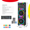 Zvucnik Bluetooth NDR-M1104 60W 2*10 Inca sa Dva Mikrofona Crni