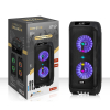 Zvucnik Bluetooth NDR-S110 40W 2 X 10INCA sa Dva Mikrofona Crni