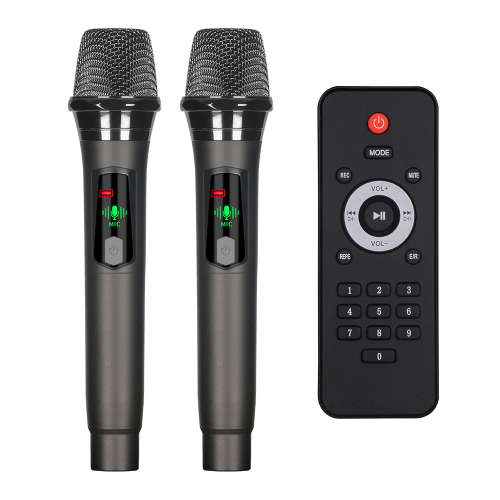 Zvucnik Bluetooth NDR-S112 40W 2 X 12INCA sa Dva Mikrofona Crni