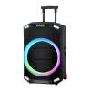 Zvucnik Bluetooth NDR-B12-01 60W 12INCA sa Dva Mikrofona Crni