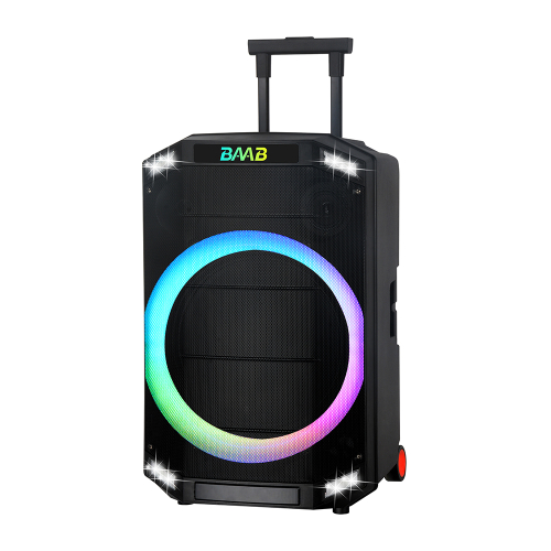 Zvucnik Bluetooth NDR-B12-01 60W 12INCA sa Dva Mikrofona Crni