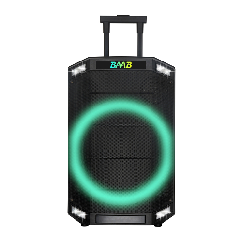 Zvucnik Bluetooth NDR-B12-01 60W 12INCA sa Dva Mikrofona Crni