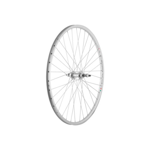 Mtb Celicna Glava
