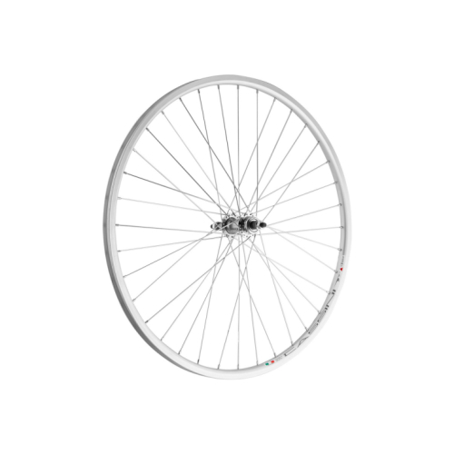 Mtb Celicna Glava